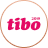 Интернет-премия «Tibo-2019»
