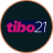 Интернет-премия «Tibo-2021»